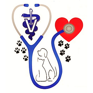 Best Vet Hospital In Palm Desert, CA